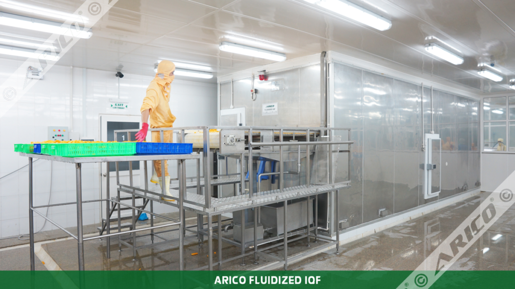 Arico-Fluidized-IQF-Products