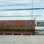 Sua-CanTho-Vinamilk-Company