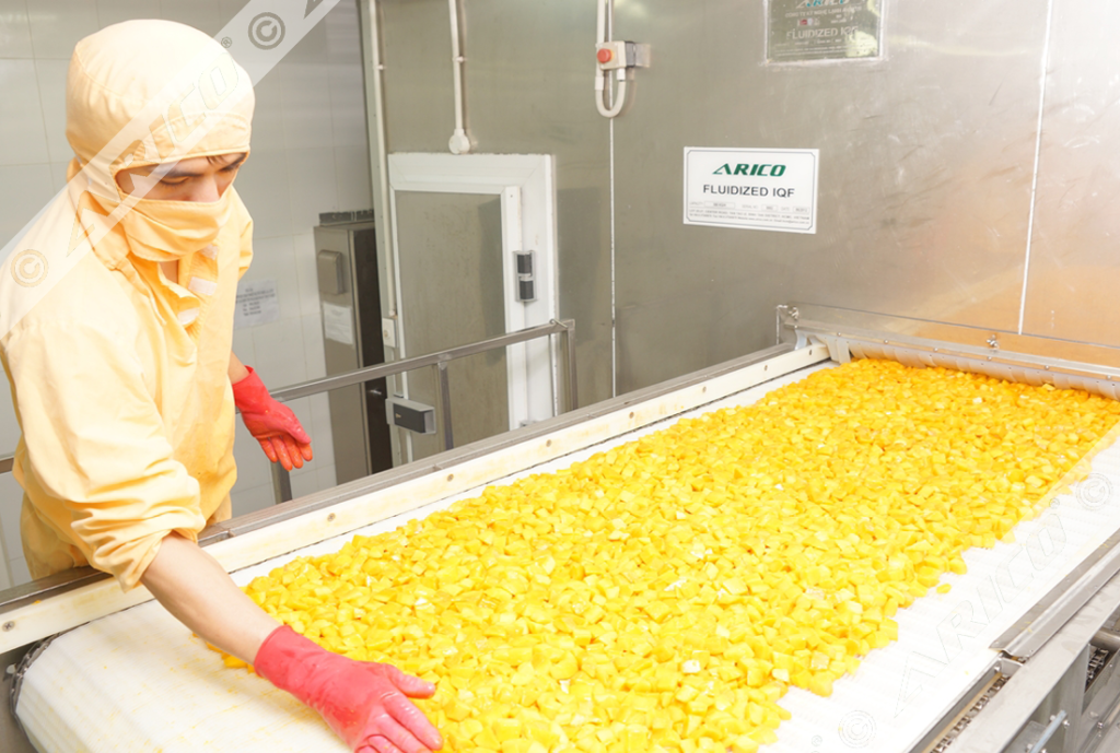 Arico-Fluidized-IQF-Products