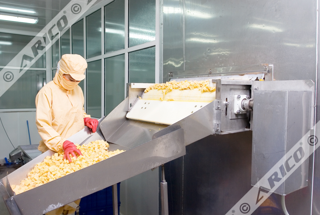 Arico-Fluidized-IQF-Products