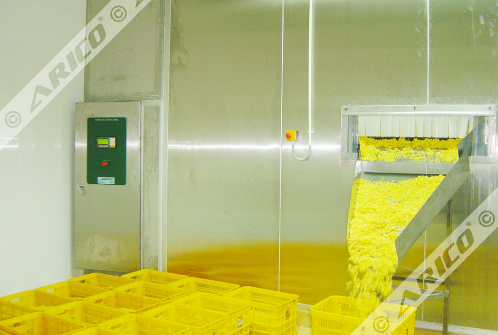 Arico-Fluidized-IQF-Products