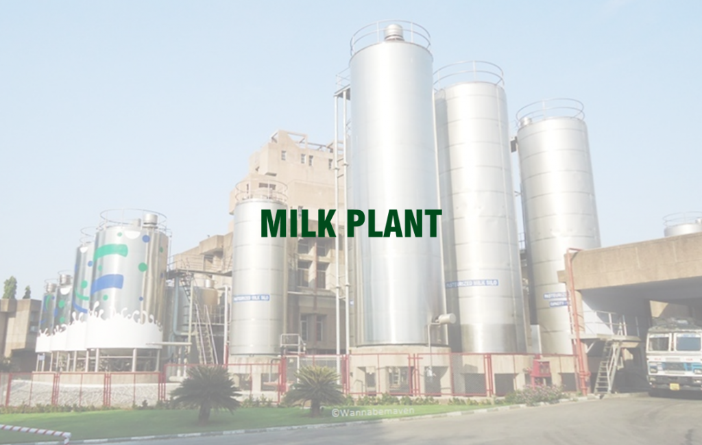 Arico-Milk-Plant-Solution